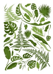 Set of tropical leaves