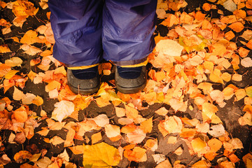 kids boots in autumn fall leaves