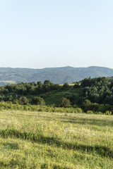 Fototapeta na wymiar Green Hills, Bulgaria