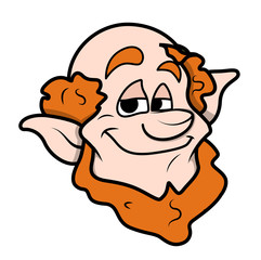 Smiling Cartoon Leprechaun Character Face