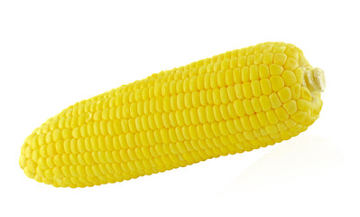 corn on white background