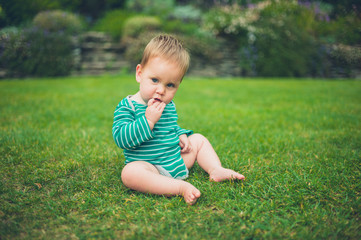 Naklejka na ściany i meble Little baby sitting on a lawn