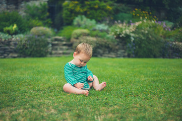 Little baby sitting on a lawn