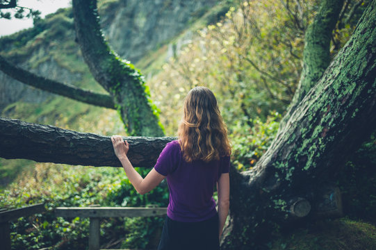Woman by tree admiring nature