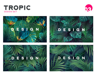 Set of Bright tropical background with jungle plants. Exotic pattern with tropical leaves