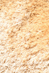 Carpet close up textured abstract copy space background. Detailed abstraction