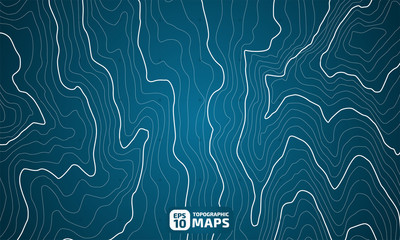The stylized height of the topographic contour in lines and contours. The concept of a conditional geography scheme and the terrain path. Vector illustration.