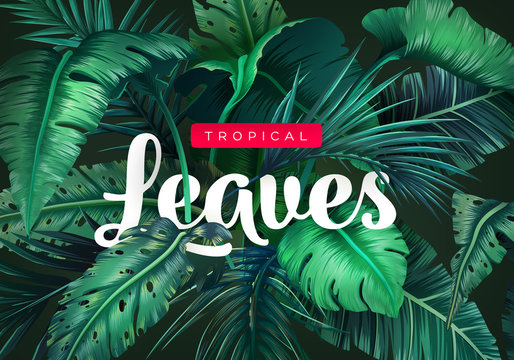 Bright tropical background with jungle plants. Exotic pattern with tropical leaves