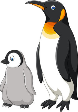 Cartoon mother and baby penguin isolated on white background