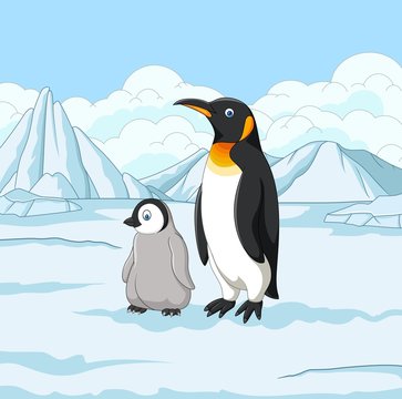 Cartoon Mother And Baby Penguin On Snowy Field