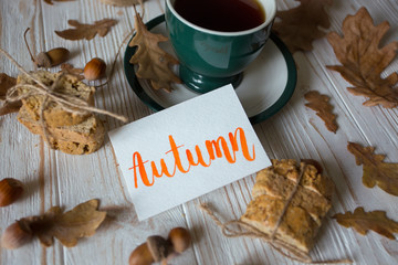 Beautiful autumn background