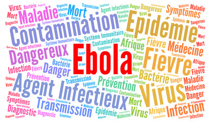 Fototapeta premium Ebola nuage de mots 