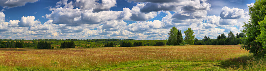 Panorama of the summer field and sky with clouds