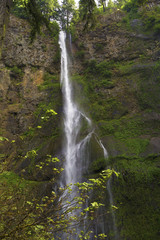 Obraz premium Multnomah Falls travel destination near Portland, Oregon