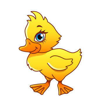 Cartoon duck isolated vector illustration