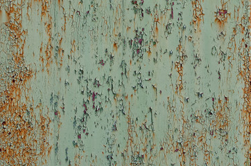 Background of gray-green rusty surface, cracked paint