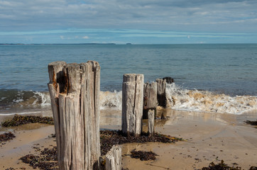 Remains of an old pier on Balnarring Beach on the Mornington Peninsula.