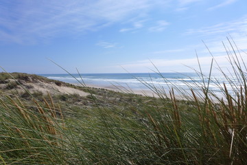 Strand bei Montalivet Frankreich 