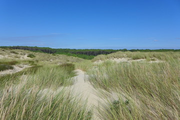 Strand bei Montalivet Frankreich 