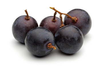 Black grapes
