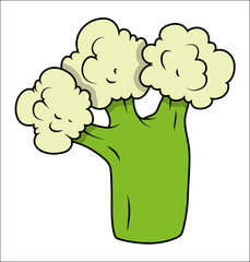 Cauliflower Vector