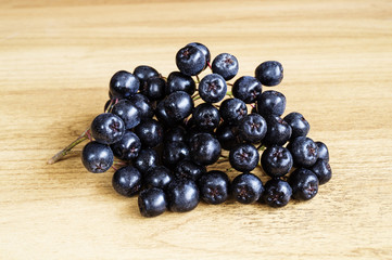 Branch of rowanberry on table
