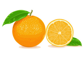 orange vector