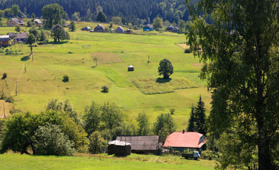 green hills landscape. Countryside in the mountains. Big wood. Forest in the background