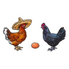 vector chicken hen brown egg, dark blue chicken and brown chicken in sombrero sketch set isolated. Illustration on a white background