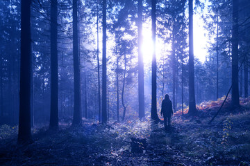 Woman standing in the mystic foggy deep forest with sunlight.