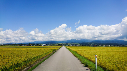 秋の田舎道