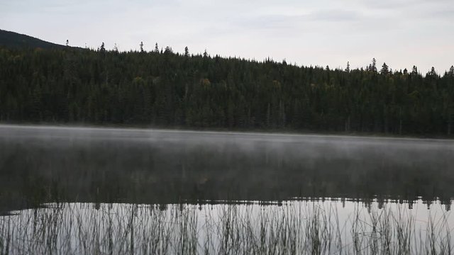 lac
