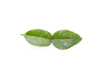 Kaffir Lime Leaves isolated on white background