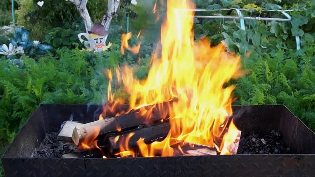 Birch firewood burns
