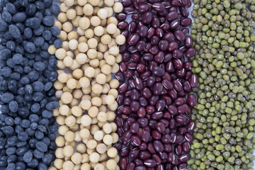 Different colorful beans close up, soybeans, black beans, mung beans,red beans.
