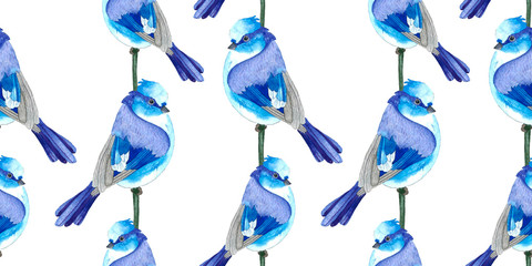 The victitional pattern. White-blue birds.