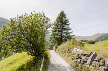 Zermatt, Zmutt, Furi, Alpen, Wanderweg, Matterhorn, Bergdorf, Wallis, zum See, Blatten, Sommerwanderung, Sommer, Schweiz