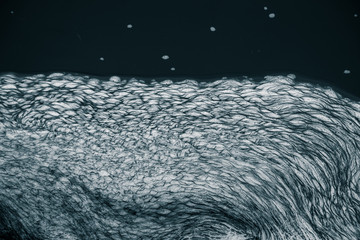 An abstract pattern of a foam forming in the river. Beautiful abstract monochrome background pattern.