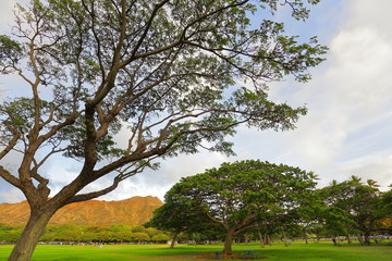 ダイアモンドヘッド