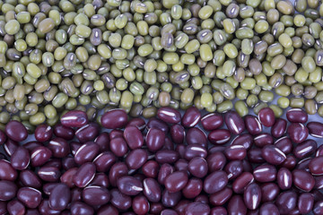 Mung beans and red beans on white background.