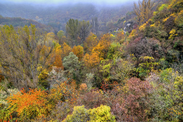 Beautiful landscape in the mountain with colorful autumn forest