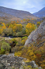 Beautiful landscape in the mountain with colorful autumn forest