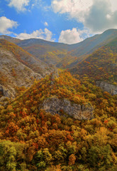 Beautiful landscape in the mountain with colorful autumn forest
