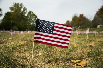 Flags for 9/11 victims on anniversary of September 11, 2001 terrorist attacks in the United States.