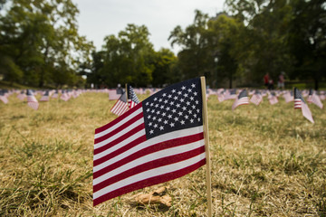 Flags for 9/11 victims on anniversary of September 11, 2001 terrorist attacks in the United States.