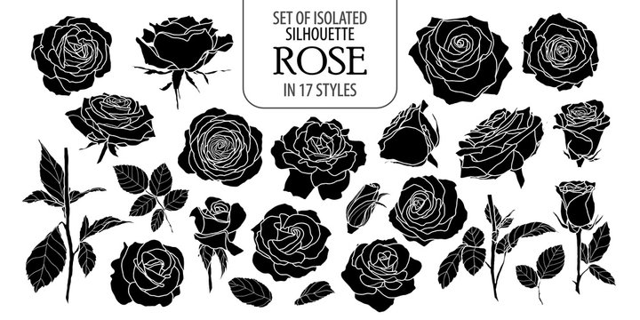 Set of isolated rose in 17 styles. Cute flower illustration in hand drawn style. Silhouette on white background.