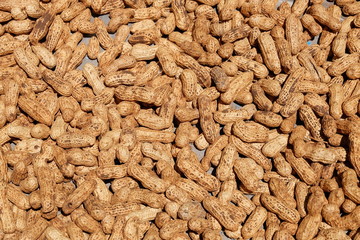 peanut