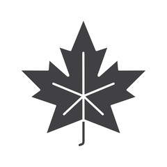 Maple leaf glyph icon