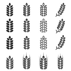 vector of wheat icons set