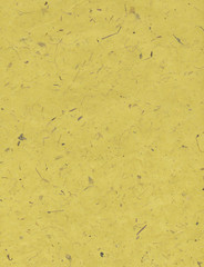 Yellow paper with dried petals